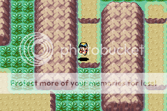 Pokémon Gold GBA