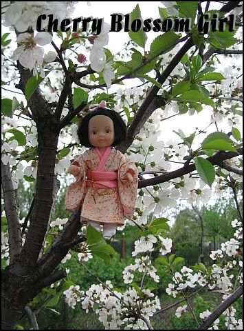 steffi evi