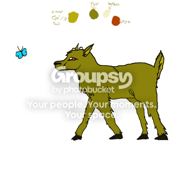 User Image