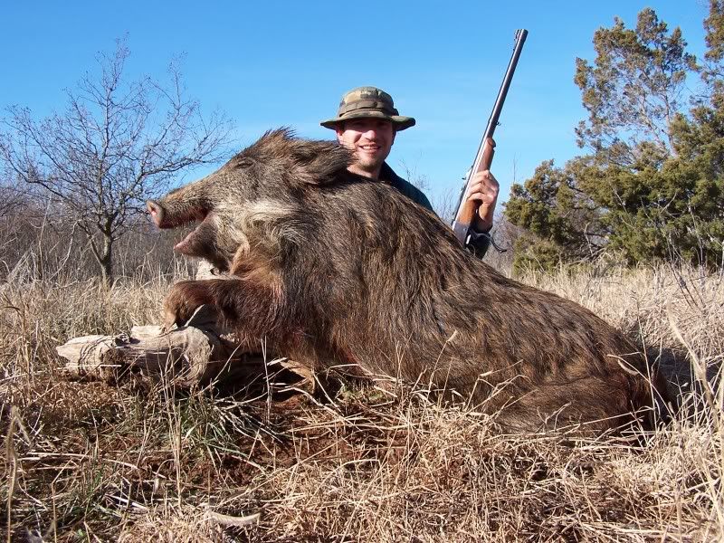 Best calibers for feral hogs/wild boars????????