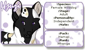User Image