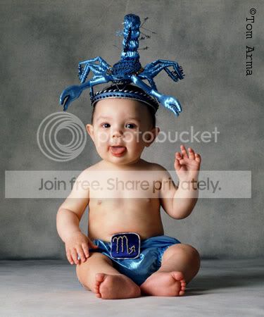 Scorpion