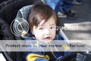 Nov162008-ElPasoZoo82-2.jpg picture by liyabia