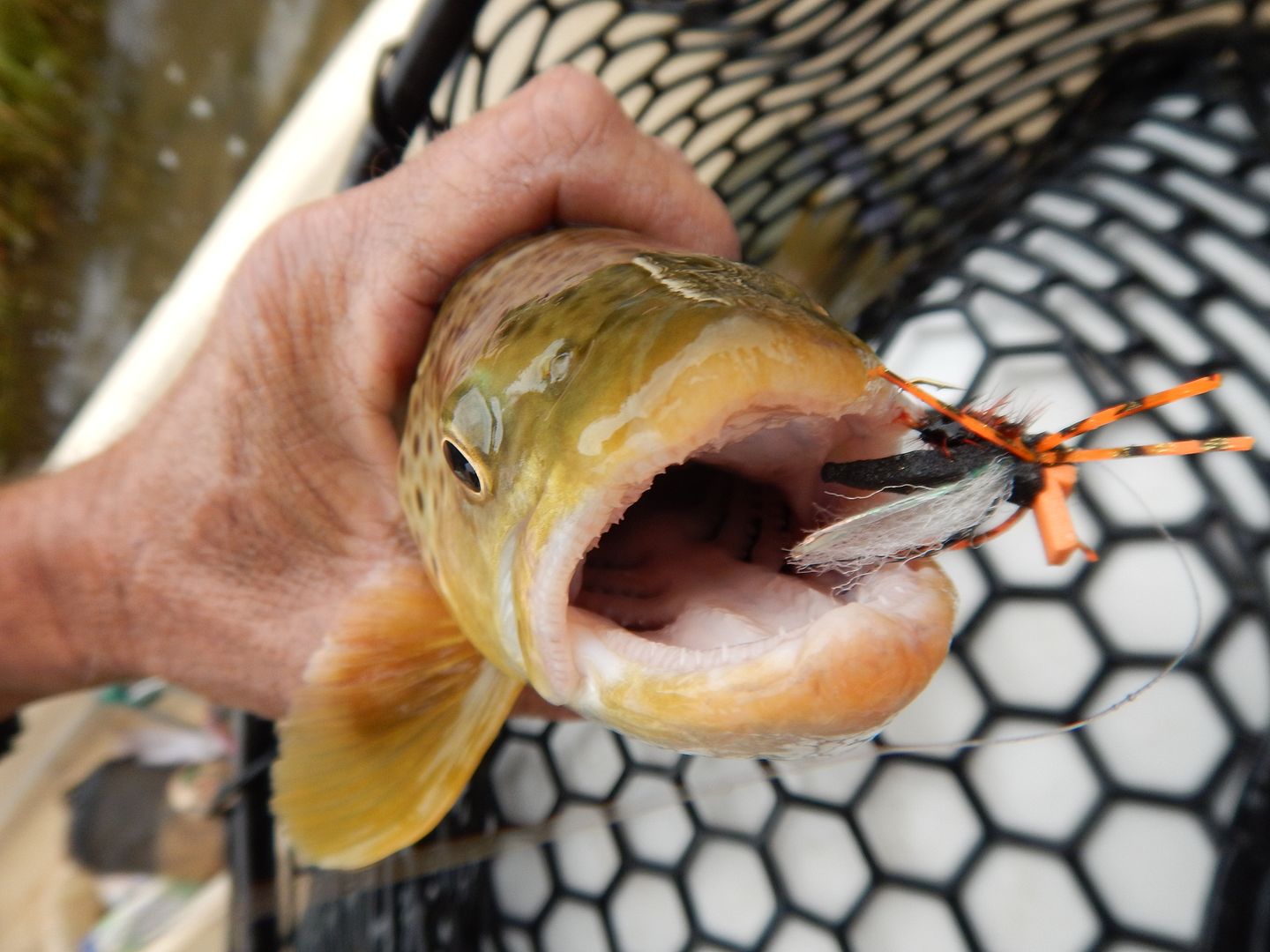 [Image: DSCN2514_zpsda5359e2.jpg]