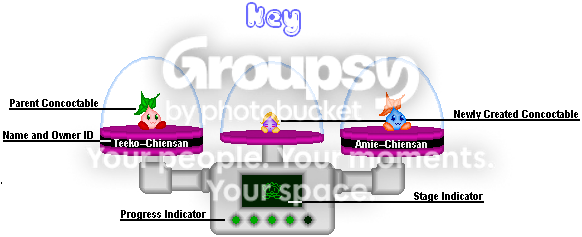 User Image