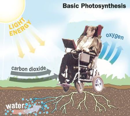 irrigation-photosynthesiscopia.jpg