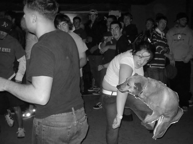 skanking.jpg