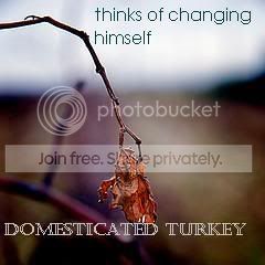 Domesticated Turkey